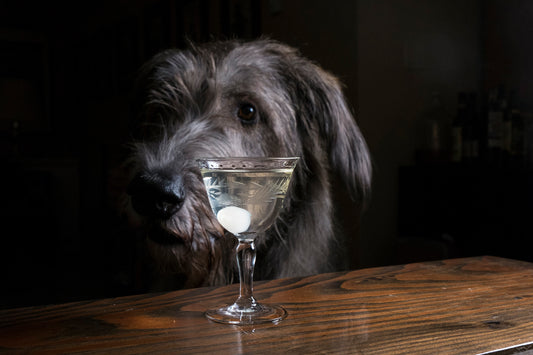 Gibson Recipe - A touch of brine really makes a Martini shine