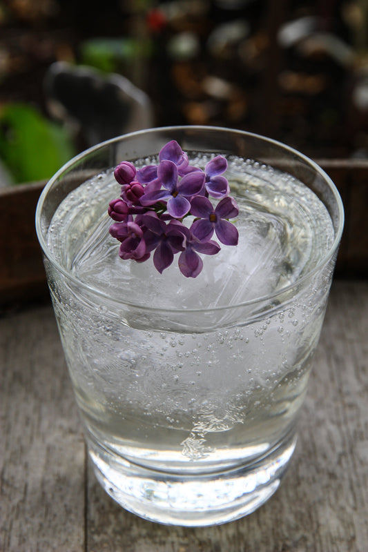 Lilacs in the Alleyway recipe - A delicious cocktail for lilac season